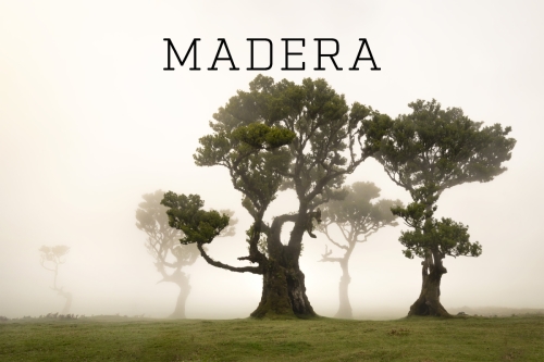 Madera